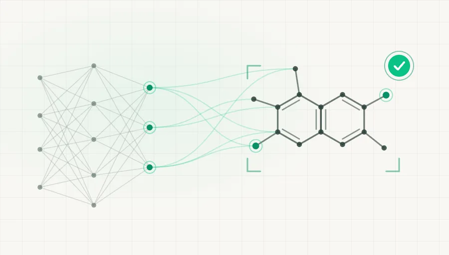 A deep-learning network reasoning into a macromolecule, with the result checked