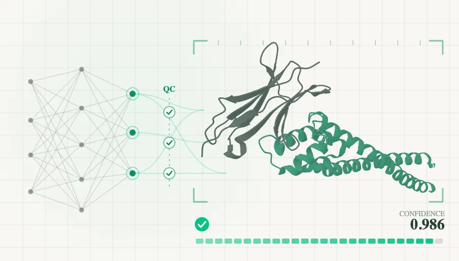 Deep-learning network reasoning into a protein structure, under quality control