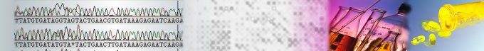 Chromatogram traces and microarray